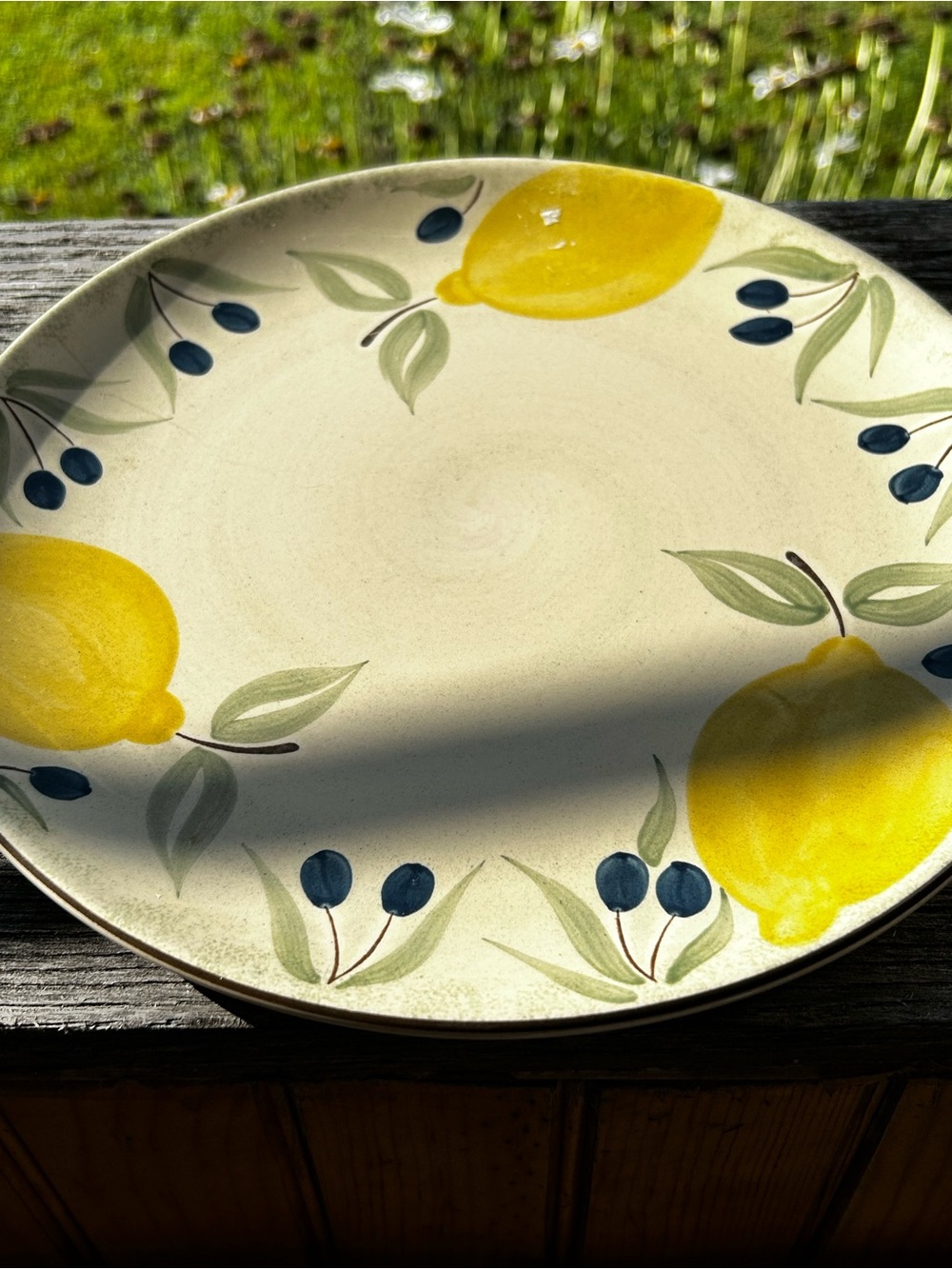 Pier 1 Katerina Hand-Painted Lemon & Olive Mediterranean Ceramic Earthenware